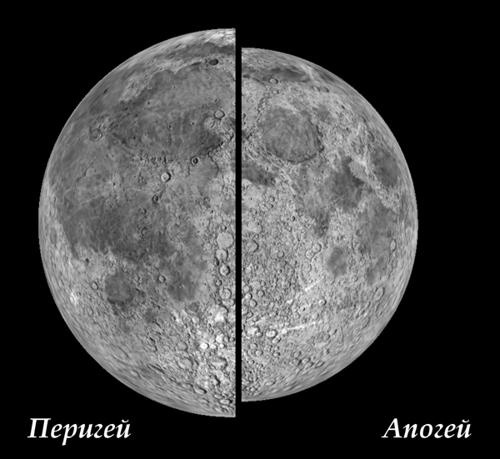 Картинка, опубликованная планетарием, демонстрирует, как примерно будут отличаться видимые размеры Луны на небе в перигее (слева) и в апогее (справа)
