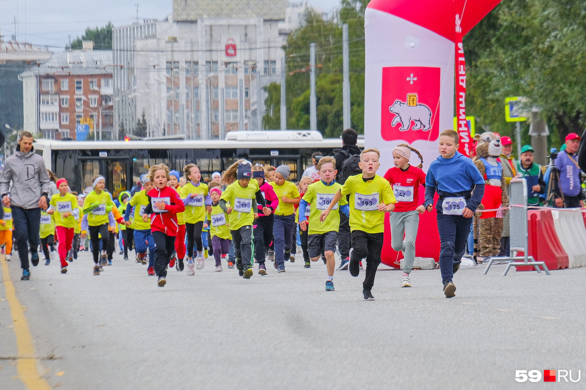 Программа пермь 2024