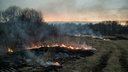 Пик пожароопасного сезона в НСО может растянуться из-за похолодания