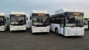 В Суворовский пустили большие автобусы вместо пазов