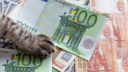 «Слабый рубль очень полезен»: что происходит с валютой и чего ждать от нее в новом году