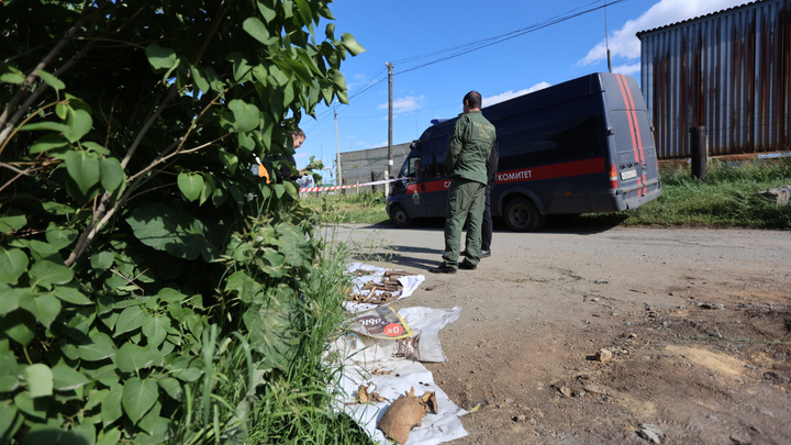 В Челябинске раскопки на месте захоронения жертв репрессий отложили до весны