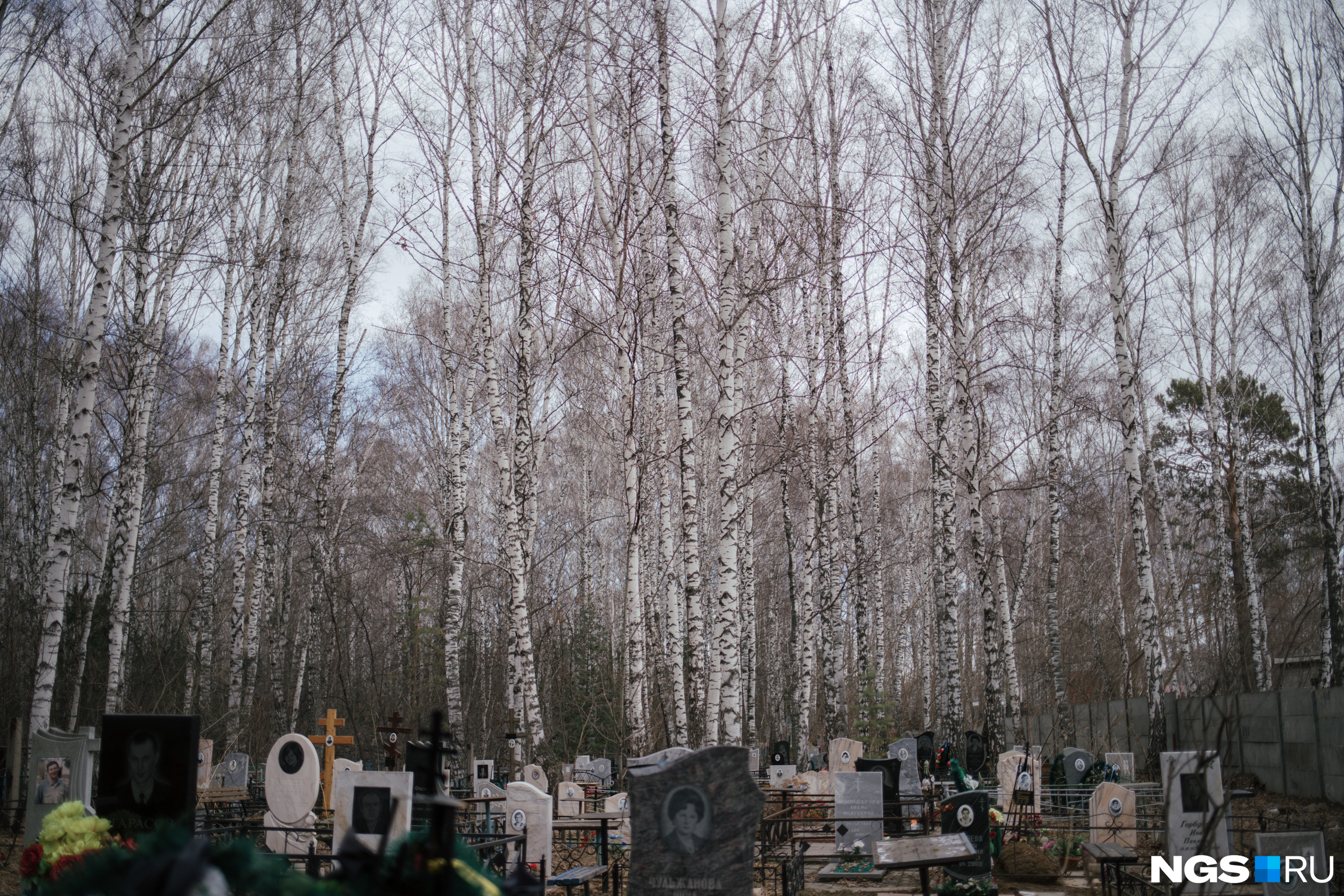 Похоронен на южном кладбище. Кладбище Южное Новосибирск Академгородок. Южное кладбище. Могилы учёных Южное кладбище Академгородок. Кладбище на болотах.
