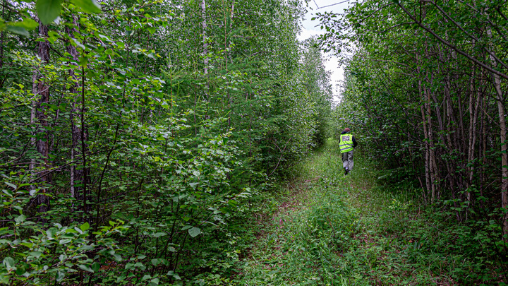 В Кузбассе подросток ушел в лес и не вернулся. С ним нет связи вторые сутки