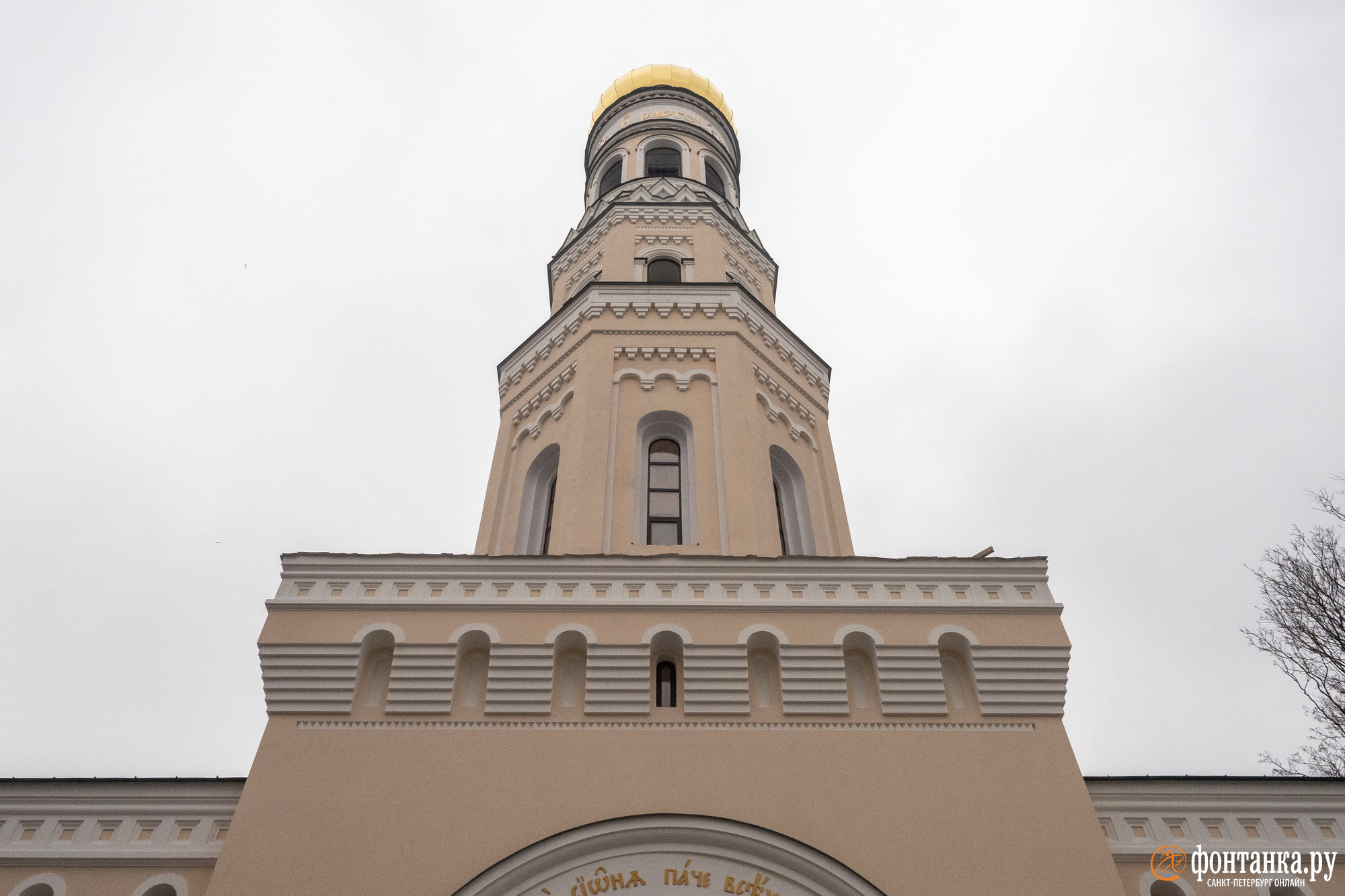 Настоятельница Воскресенского Новодевичьего монастыря в Петербурге София: У  нас выбор не между хорошим и лучшим, у нас выбор между наличием и  отсутствием - 14 декабря 2022 - ФОНТАНКА.ру