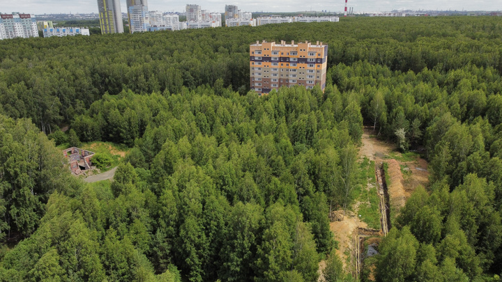 В Челябинске посреди леса построили панельку. Вы удивитесь, всё законно