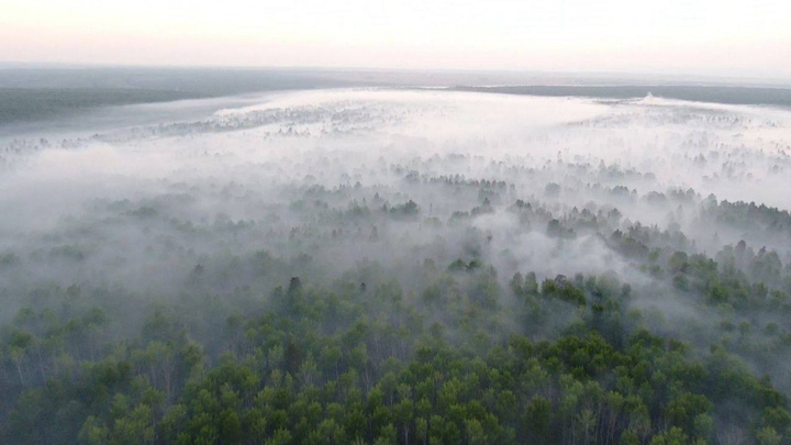 Шесть поселков в двух районах Приангарья накрыло дымом от лесных пожаров