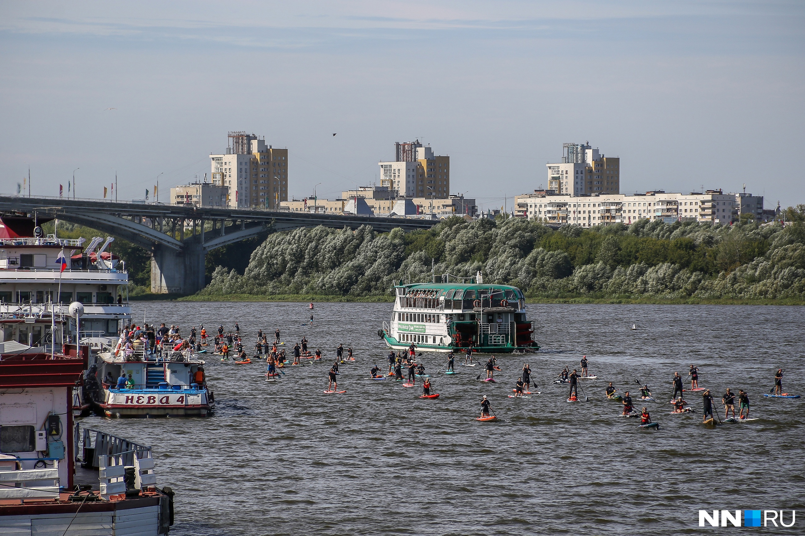 Волжская регата нижний новгород