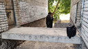 Появилось фото бетонной плиты, с которой упал <nobr class="_">15-летний</nobr> подросток в Бердске