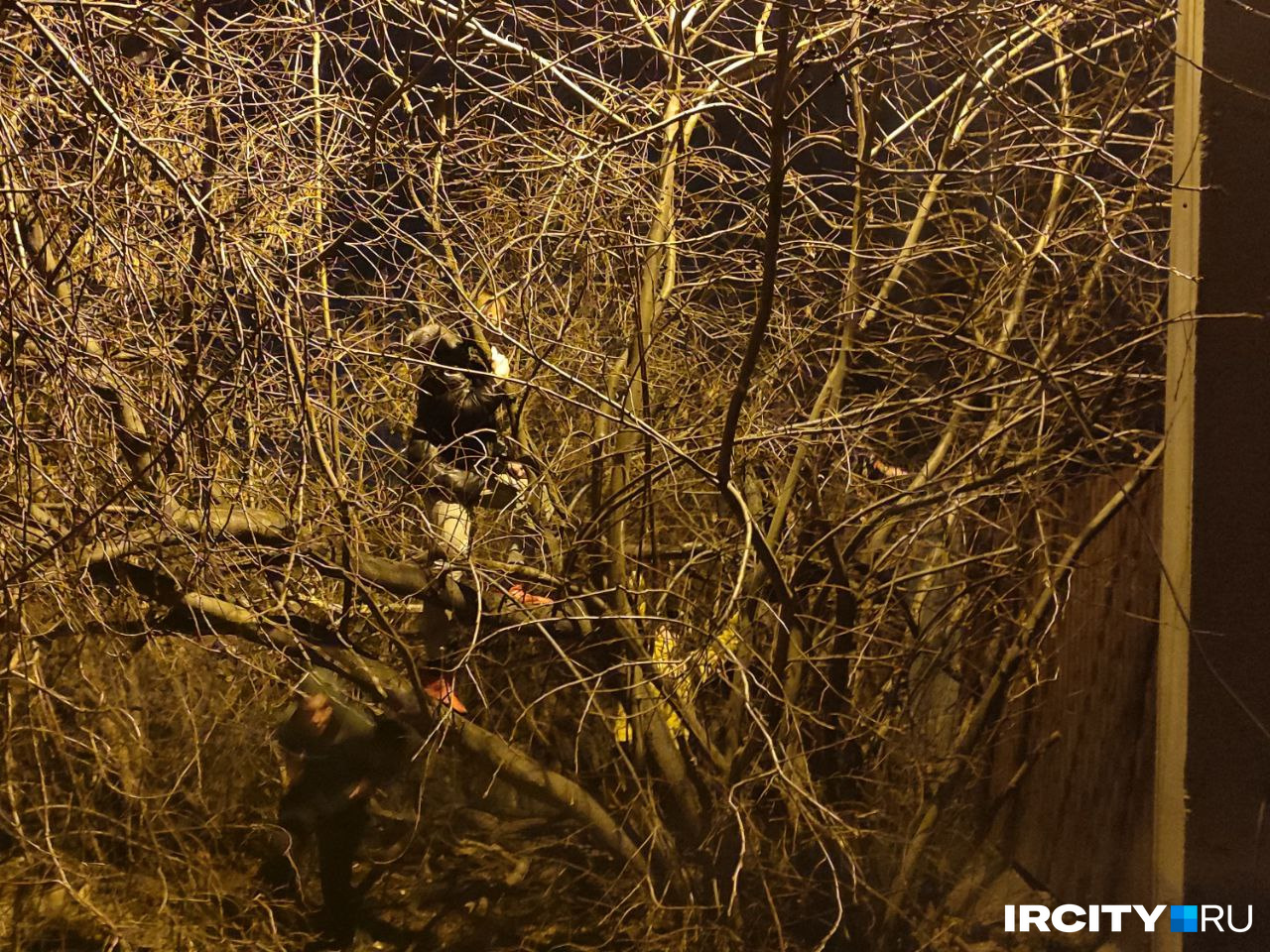 Кто-то даже залезал на деревья, чтобы получше разглядеть место падения Су-30 Кто-то даже залезал на деревья, чтобы получше разглядеть место падения Су-30