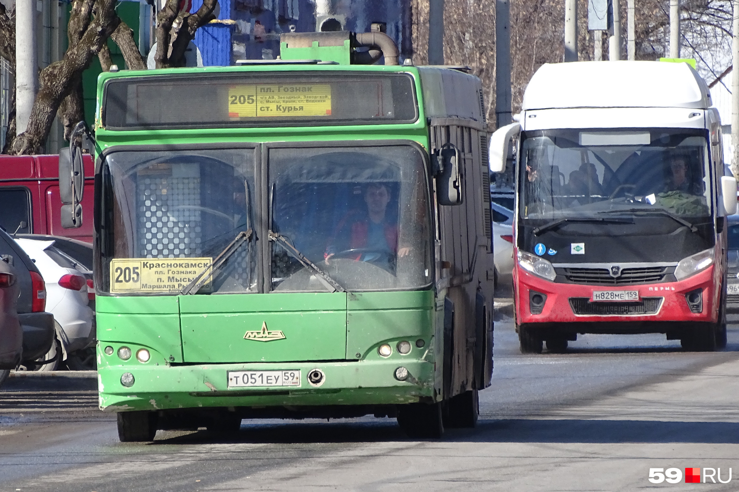 Автобус 205 пермь краснокамск. Новые автобусы. Новый перевозчик в Кургане.