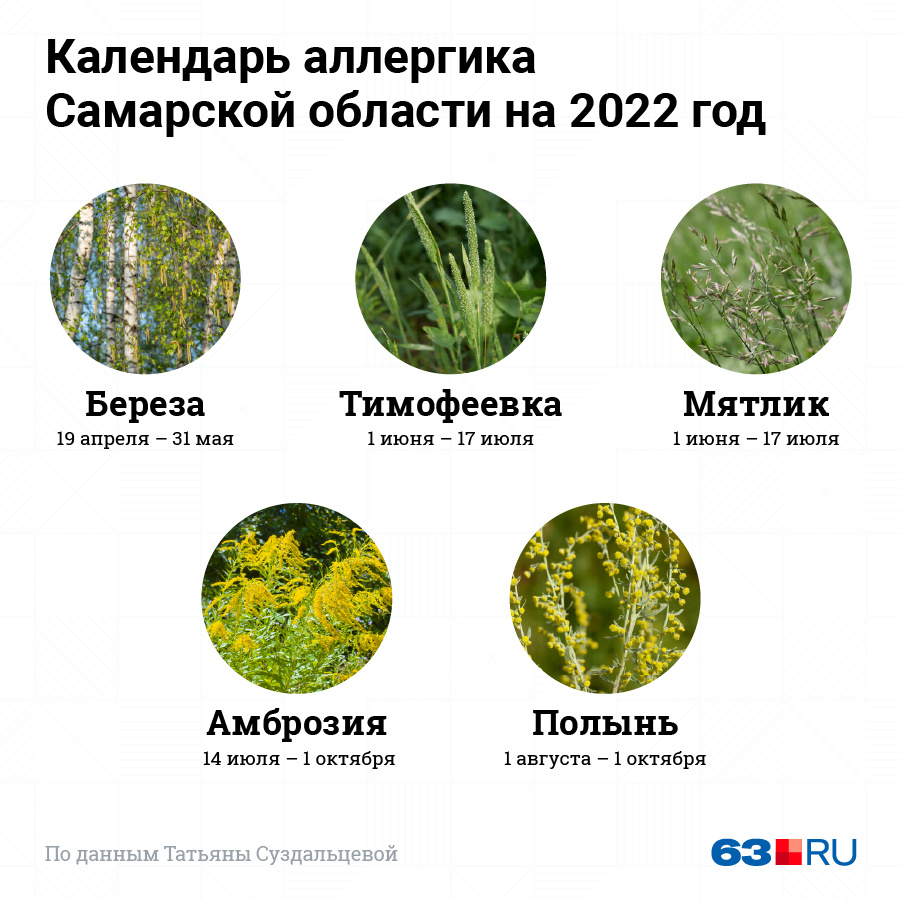 Календарь цветения для аллергиков 2024