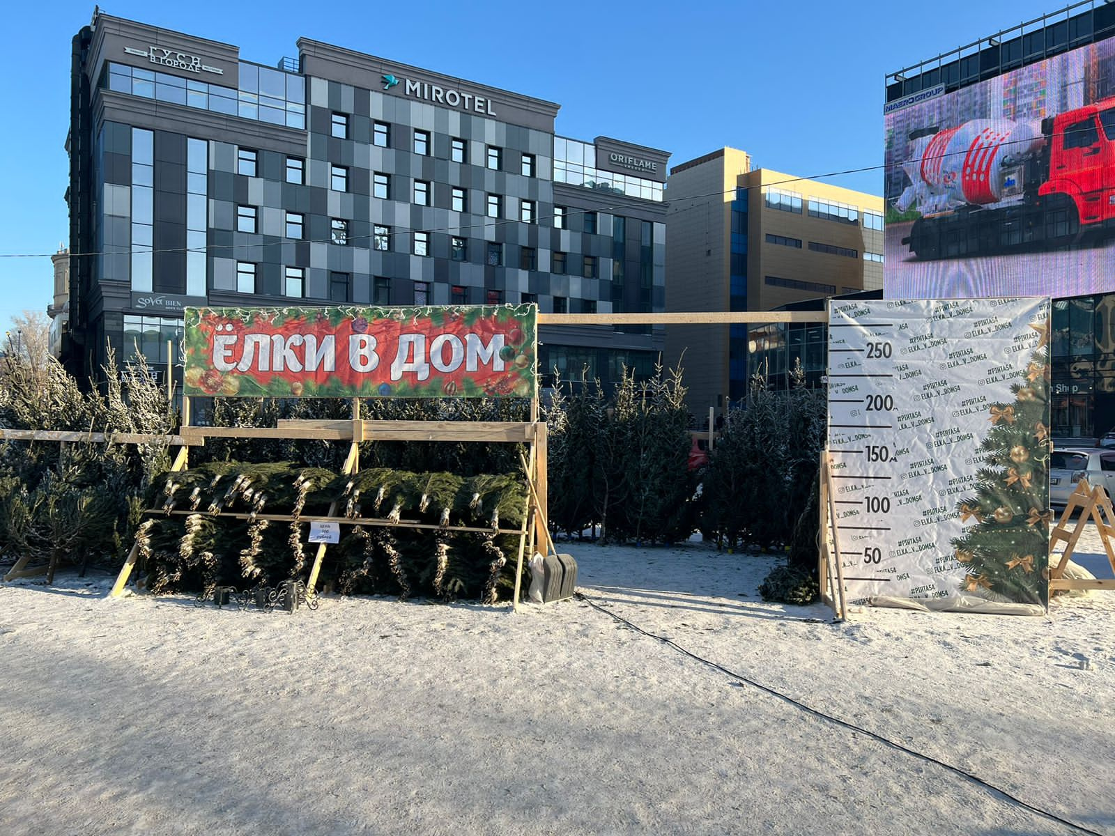Владельцы базаров говорят, что конкурентов в этом году меньше: многие перешли с продажи деревьев на пихтовое масло Владельцы базаров говорят, что конкурентов в этом году меньше: многие перешли с продажи деревьев на пихтовое масло