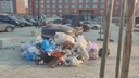 «Медленное сползание в кризис»: крупная мусоровывозящая компания приостановила работу в Новосибирске