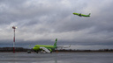 Самолет столкнулся с птицей во время вылета из Новосибирска — экипаж принял решение продолжить полет