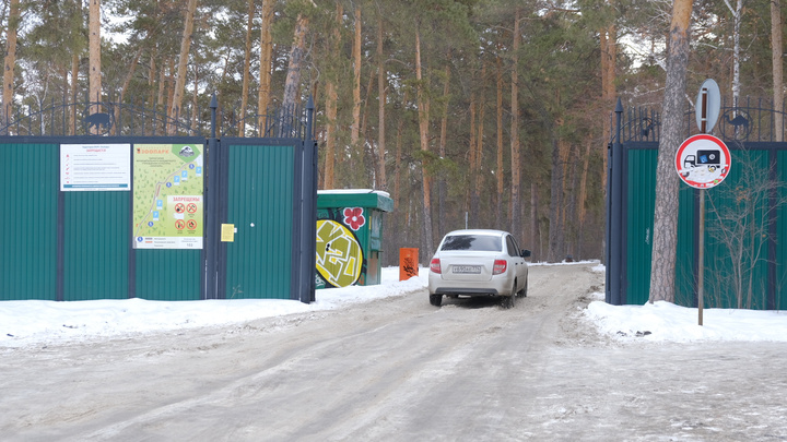 В Челябинске планируют заасфальтировать дорогу к зоопарку со стороны ТРК «Родник»