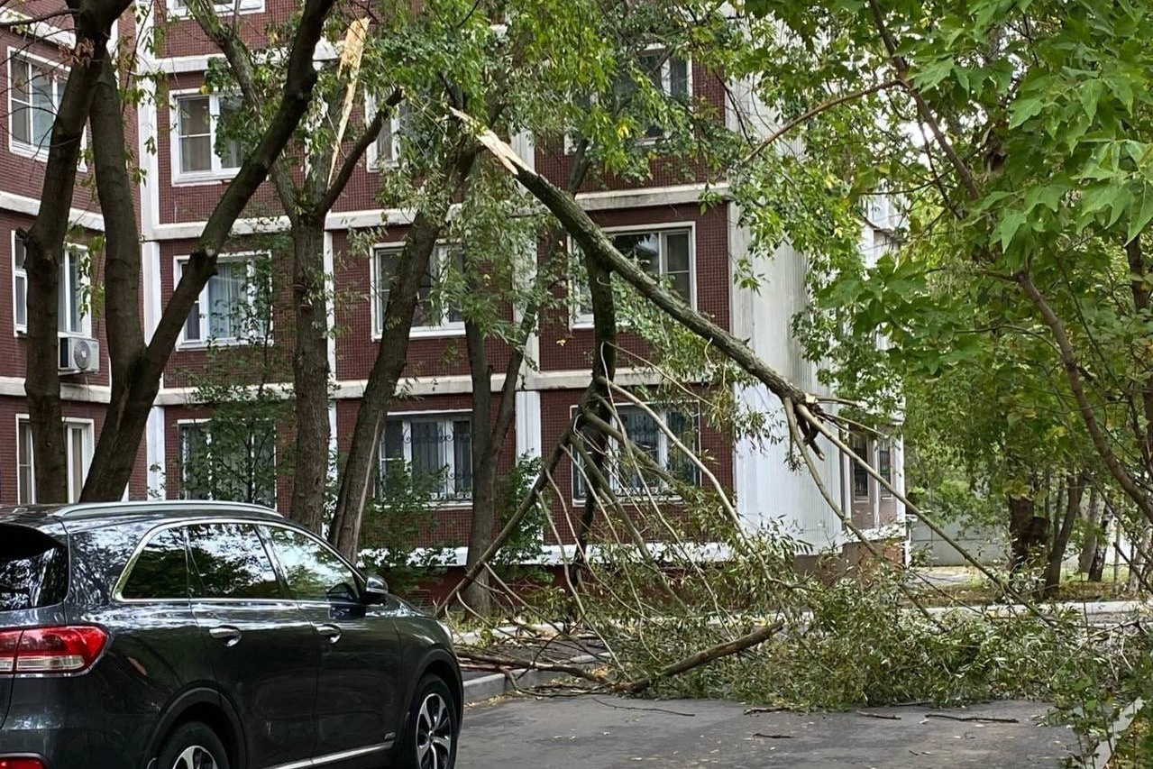 Последствия урагана в москве 20.06 2024. Ураган в Москве 17 сентября 2020. Гроза в Москве 17 сентября 2020. Деревья Москвы. Ураган в Москве 2021.