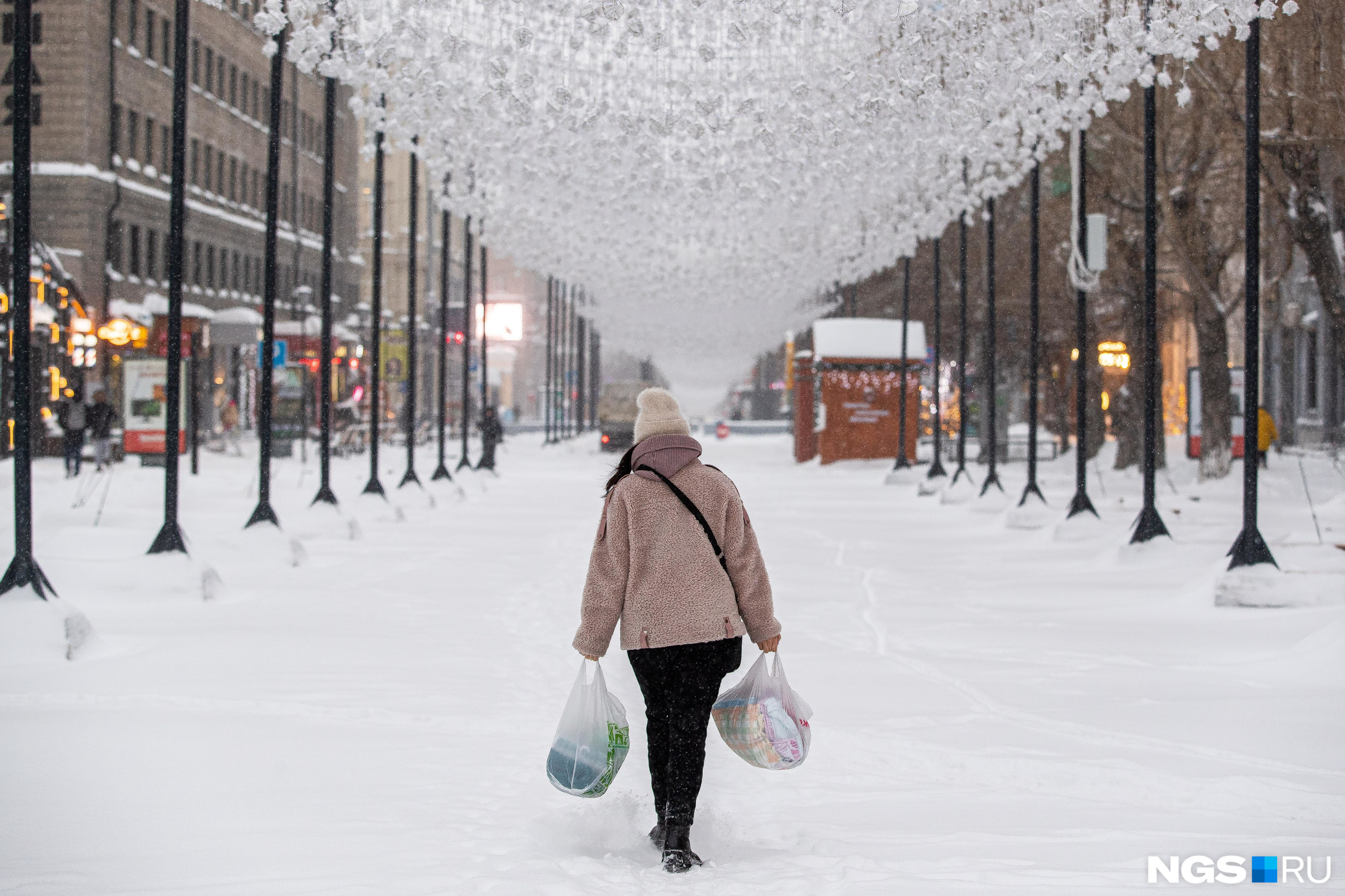 Воронеж засыпало снегом