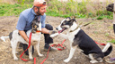 Рыбинская компания обустроит в Ярославле 10 площадок для выгула собак: где и когда они появятся