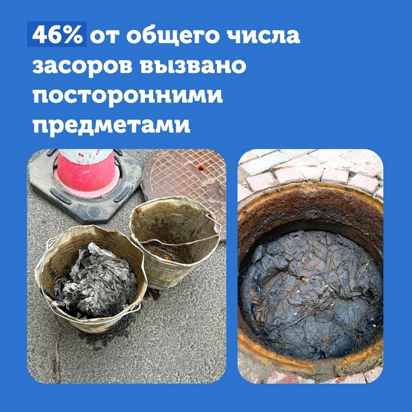 ec39c15273e9b5859473f393b10c5d64018dfa5a_600.jpg.webp-portal