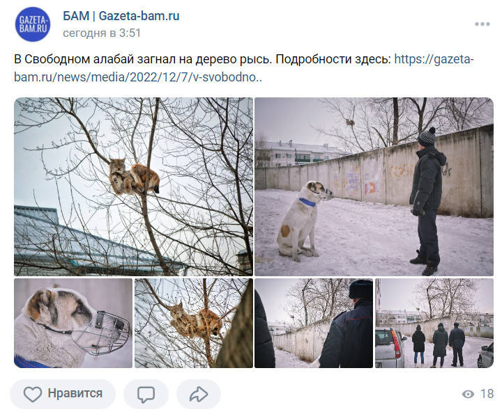 Скриншот из группы <a href="https://vk.com/gazeta_bam" class="io-leave-page _" target="_blank">БАМ | Gazeta-bam.ru</a>