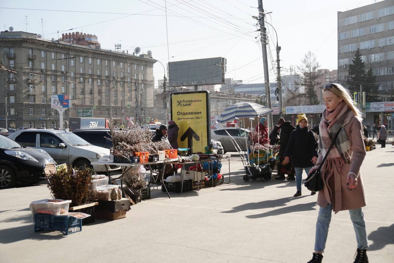 Сайт апрель новосибирск. Новосибирск в апреле. Верба на улице. Апрель на улице. Верба Новосибирск.