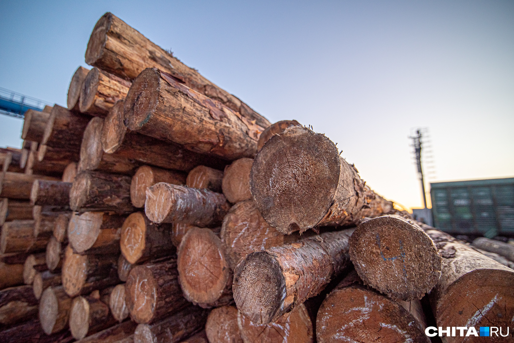 Новые резиденты ТОР «Забайкалье» будут обрабатывать древесину и выпускать минералку