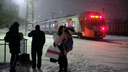 «Дымят как 40 КАМАЗов»: защитники волгоградского троллейбуса требуют запустить «Ласточки» до Астрахани