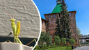 «Их появление связано с климатическими изменениями»: богомолов заметили в Нижнем Новгороде