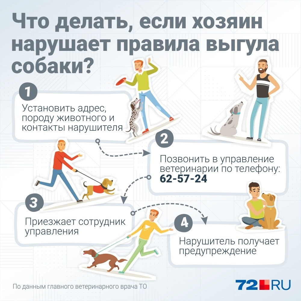 Простая инструкция для тех, кто увидел нарушителя Простая инструкция для тех, кто увидел нарушителя