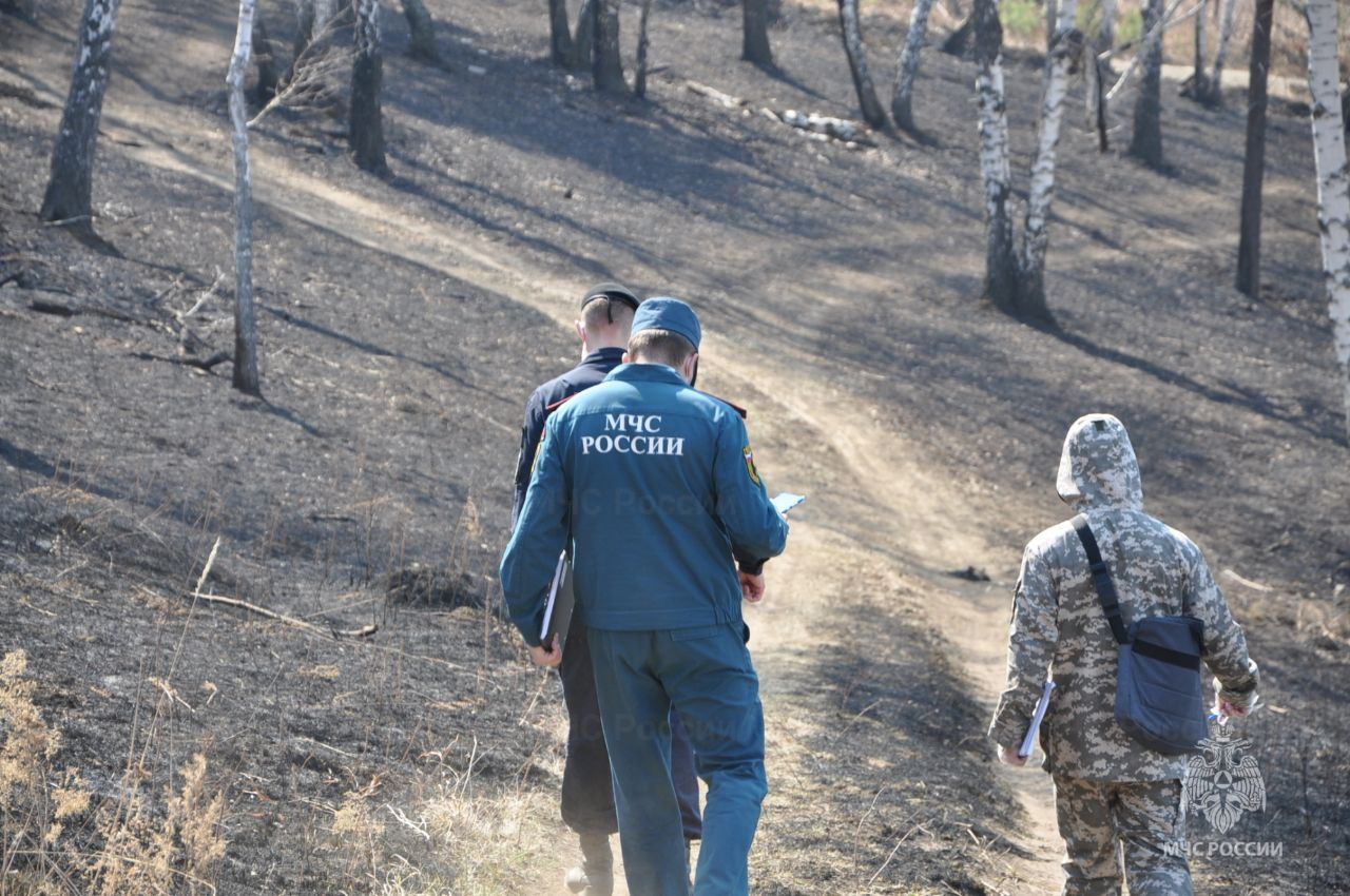Жителя Осинского района приговорили к 250 часам работ за лесной пожар