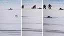 На Бердском заливе под лед провалился рыбак — с помощью веревки его спасли два очевидца