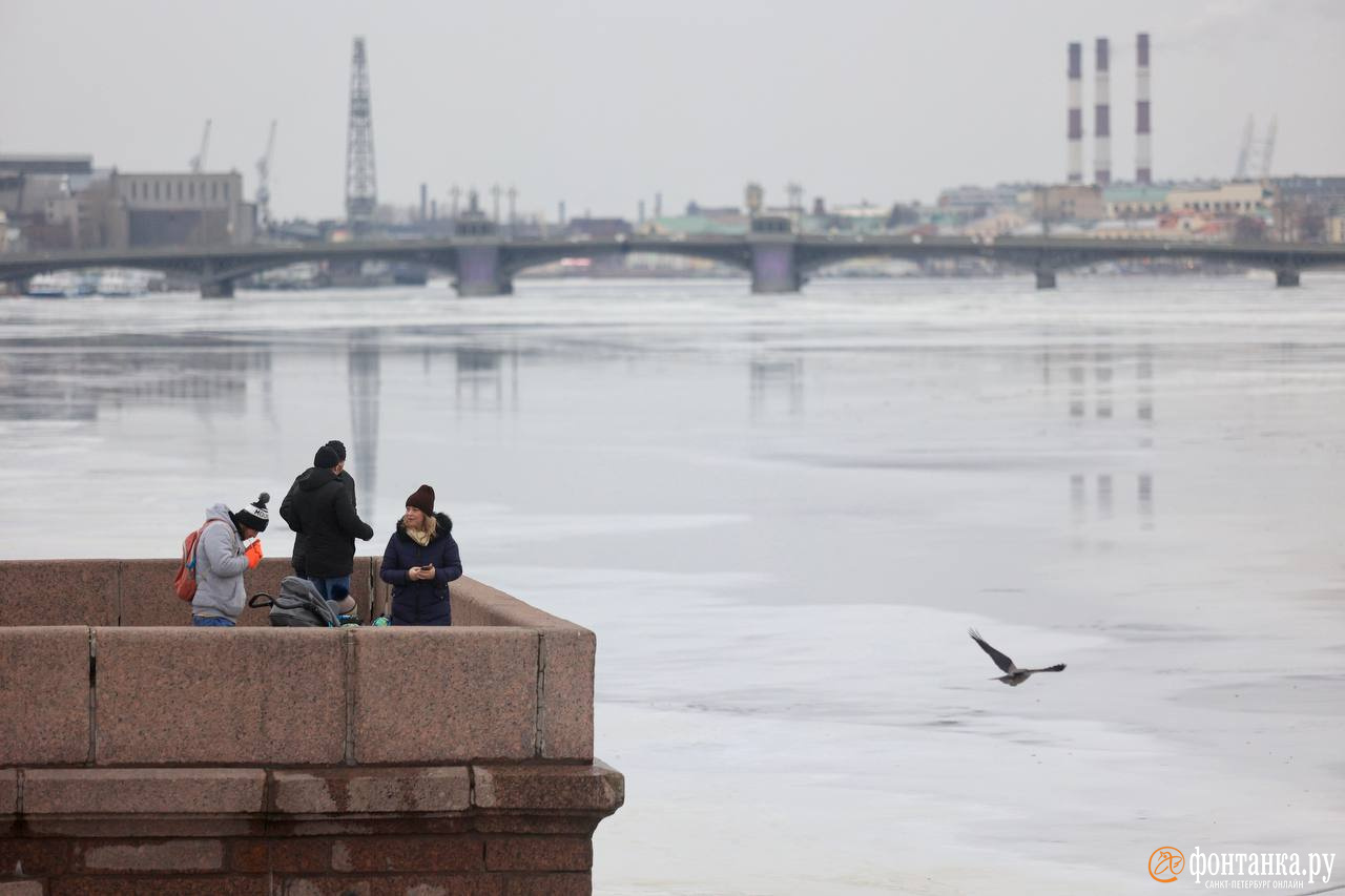 Оттепель в петербурге