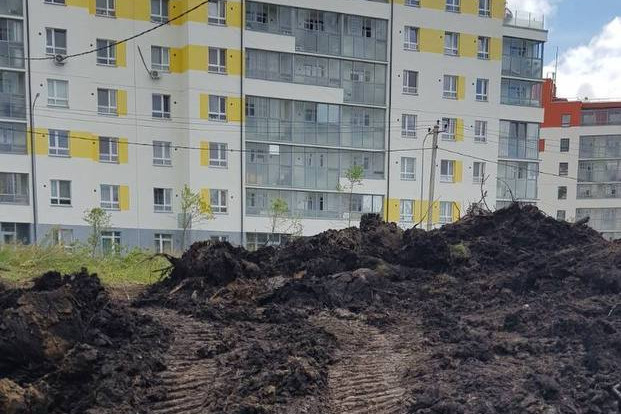 Деревья вырубили ради дороги Деревья вырубили ради дороги