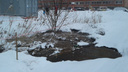 Мэрия Новосибирска проведет проверку канализации на Титова — из нее две недели текли отходы на улицу