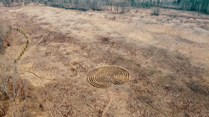 В дикой части Татышева обнаружили огромные круги на земле: кто их сделал и зачем?