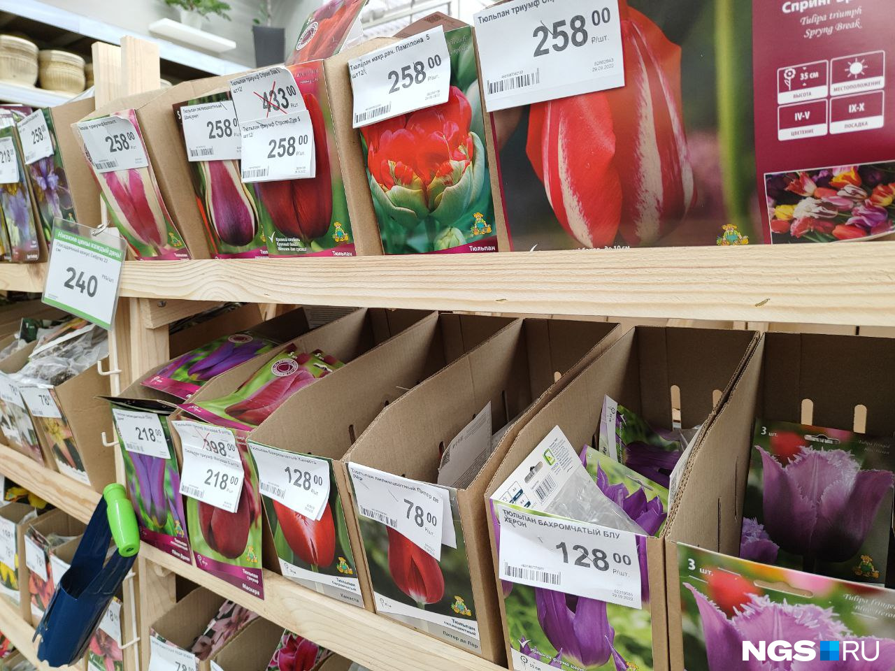 Большинство тюльпанов везут из Голландии, что приводит к росту цен