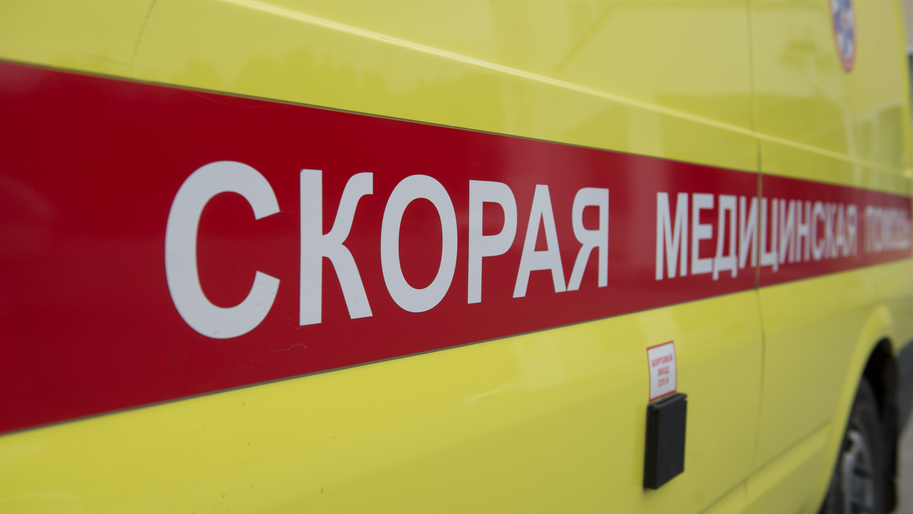 «Удар был таким, что, кажется, шансов было мало»: мужчина выбросил дочь со второго этажа на вокзале Барнаула