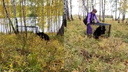 Новосибирцы поймали медвежонка, который регулярно выходил к людям — публикуем видео