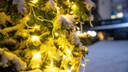 Тазы с оливье и коты в елках: как Новосибирск встречает Новый год — онлайн-трансляция НГС