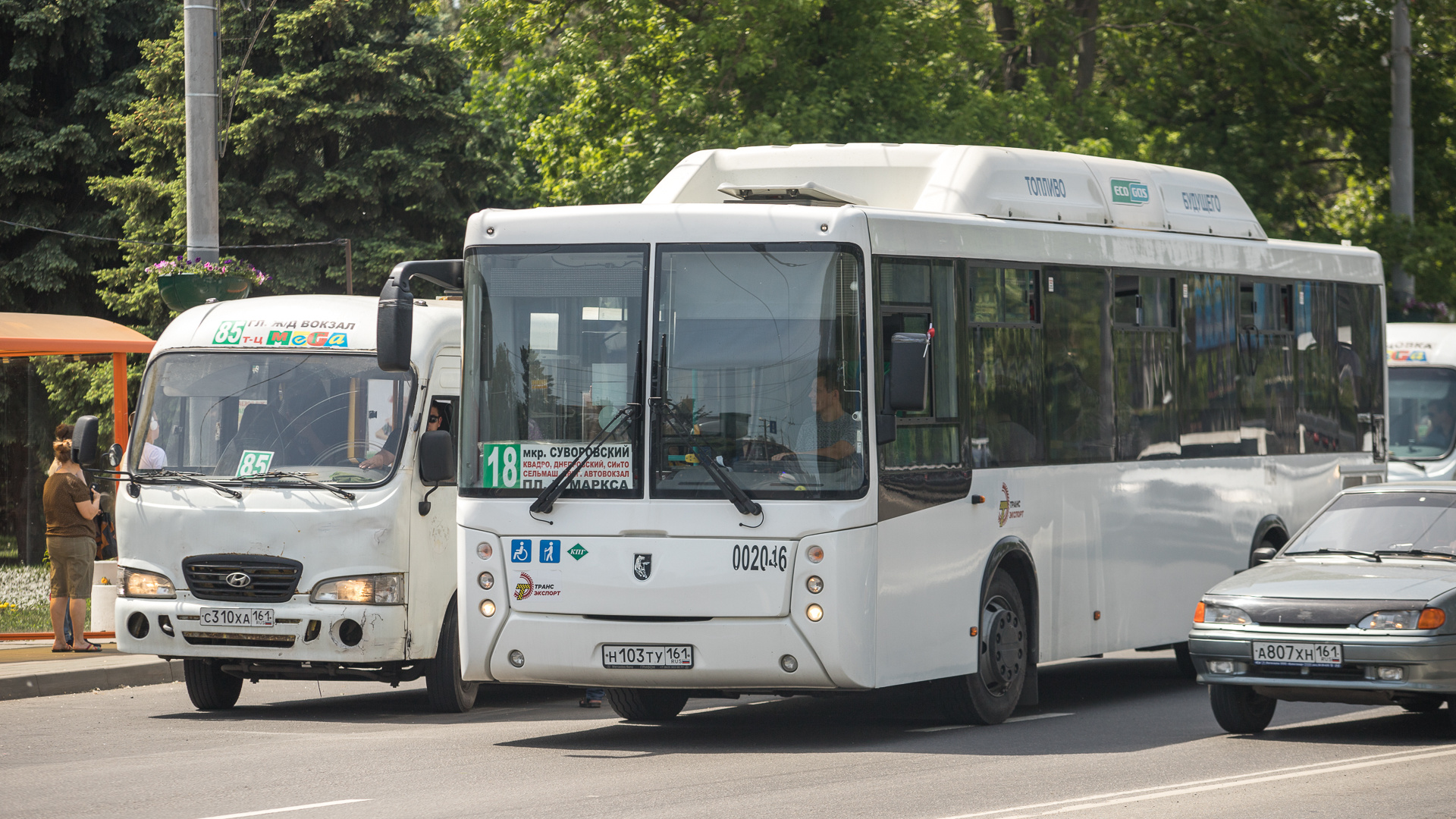 Транспорт ростов на дону. Белорусские автобусы. Наши автобусы. Настоящие автобусы. Автобус Кубань.