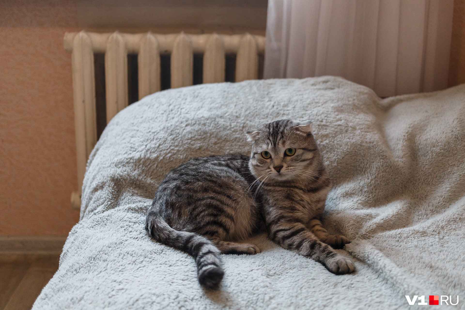 В многоэтажке Волгограда украли узел учета тепла октябрь 2022 - 6 ...