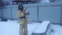 Под Волгоградом пожарные спасли провалившуюся в яму собаку