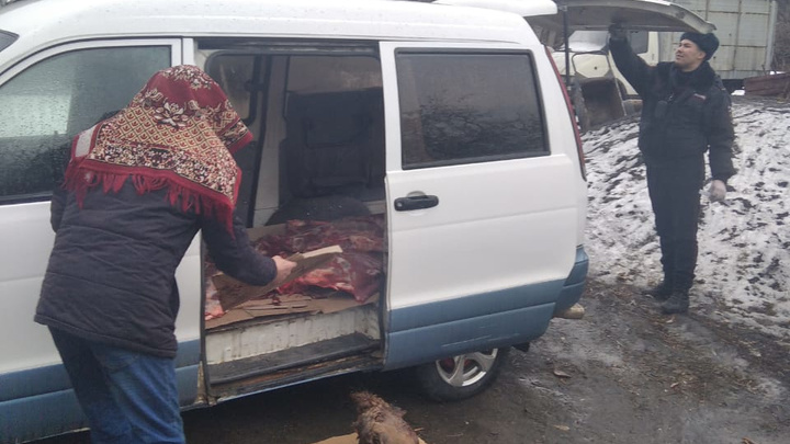 Жители Кузбасса добили и расчленили пострадавшего в ДТП лося
