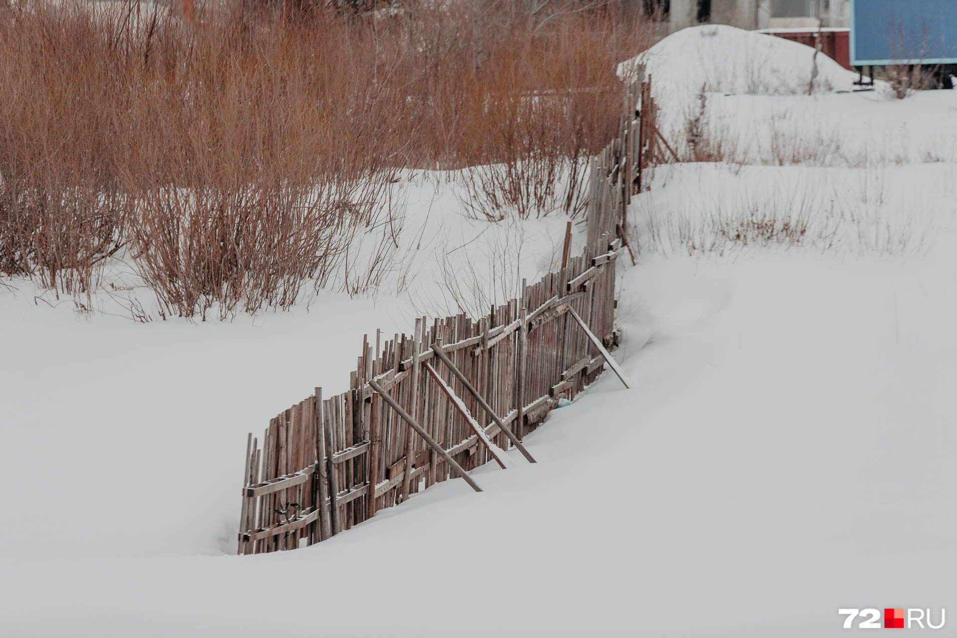 Летом этот забор — серьезная преграда, а зимой его можно просто обойти