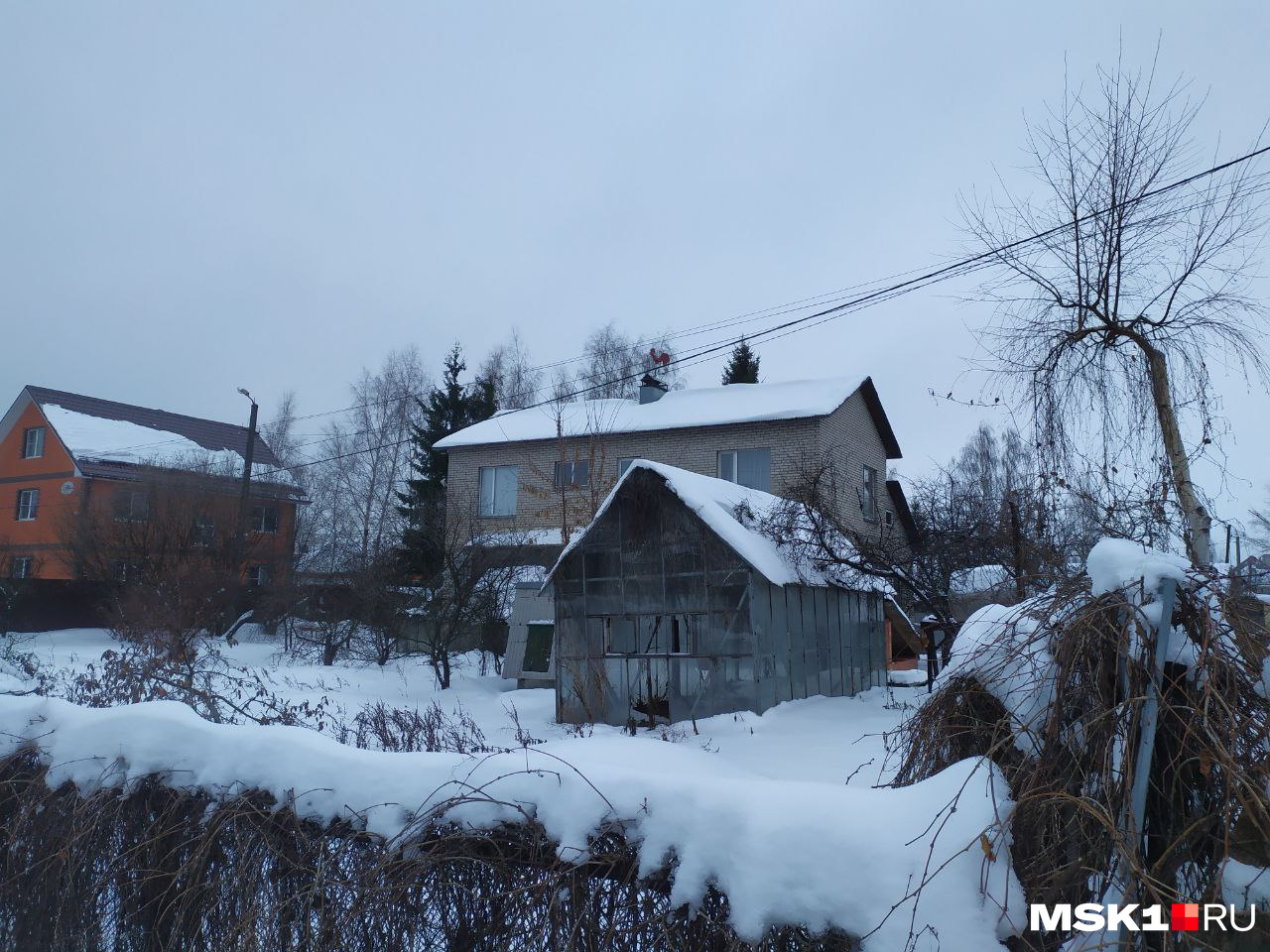 Снег покрыл землю деревья и крыши домов