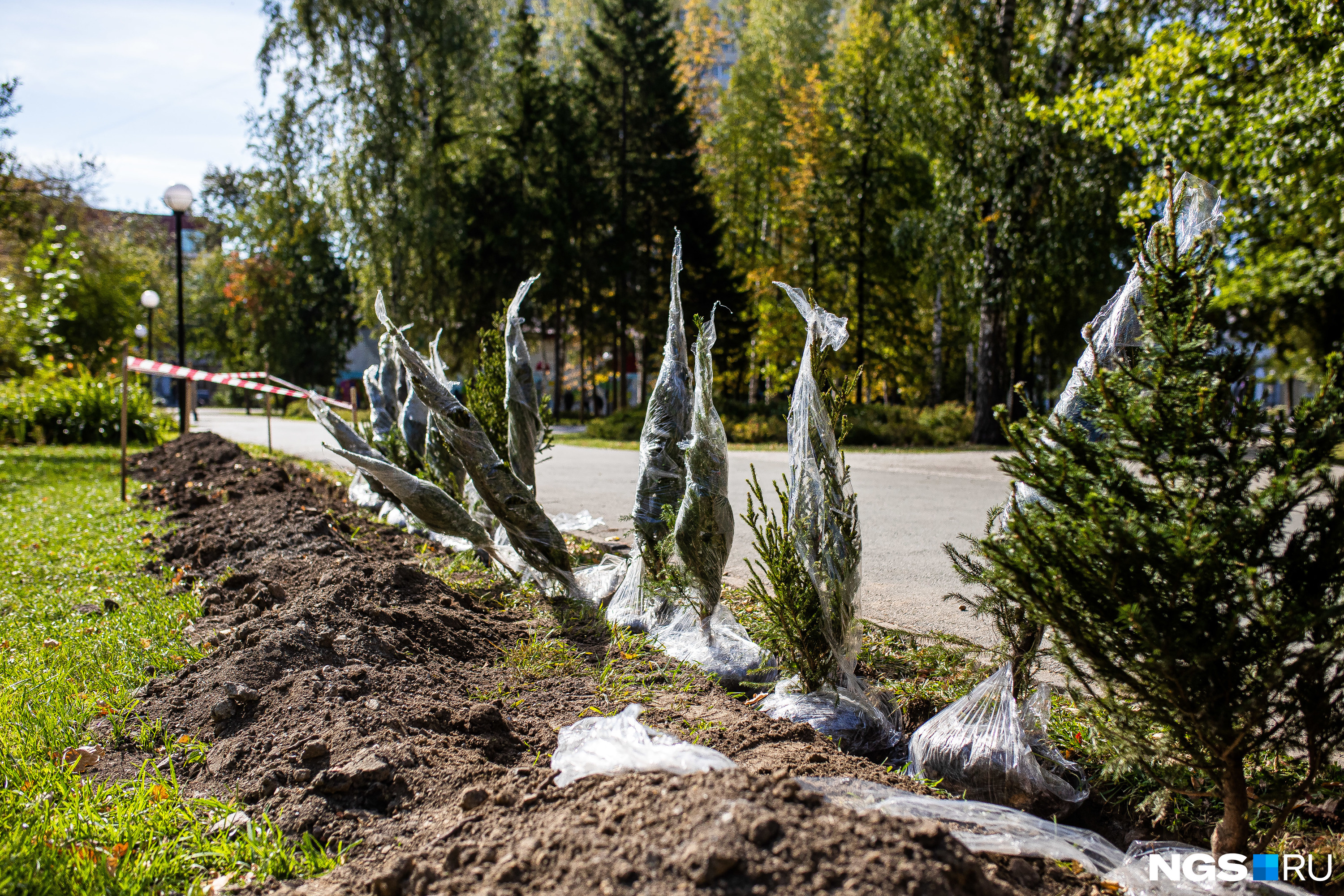 В будущем вокруг детской площадки планируют высадить еще и сибирские кедры