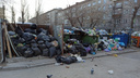 Депутат Заксобрания заявил, что правительство и «ВИС» уже договорились о новой мусорной концессии