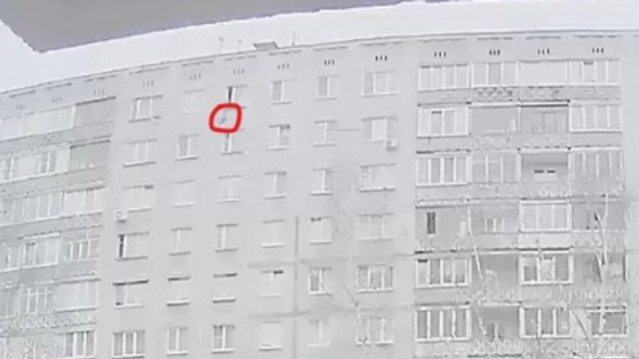 «Выкинули прямо из окна». Полиция проверит информацию о выпавшем с девятого этажа коте в Нижнем Новгороде