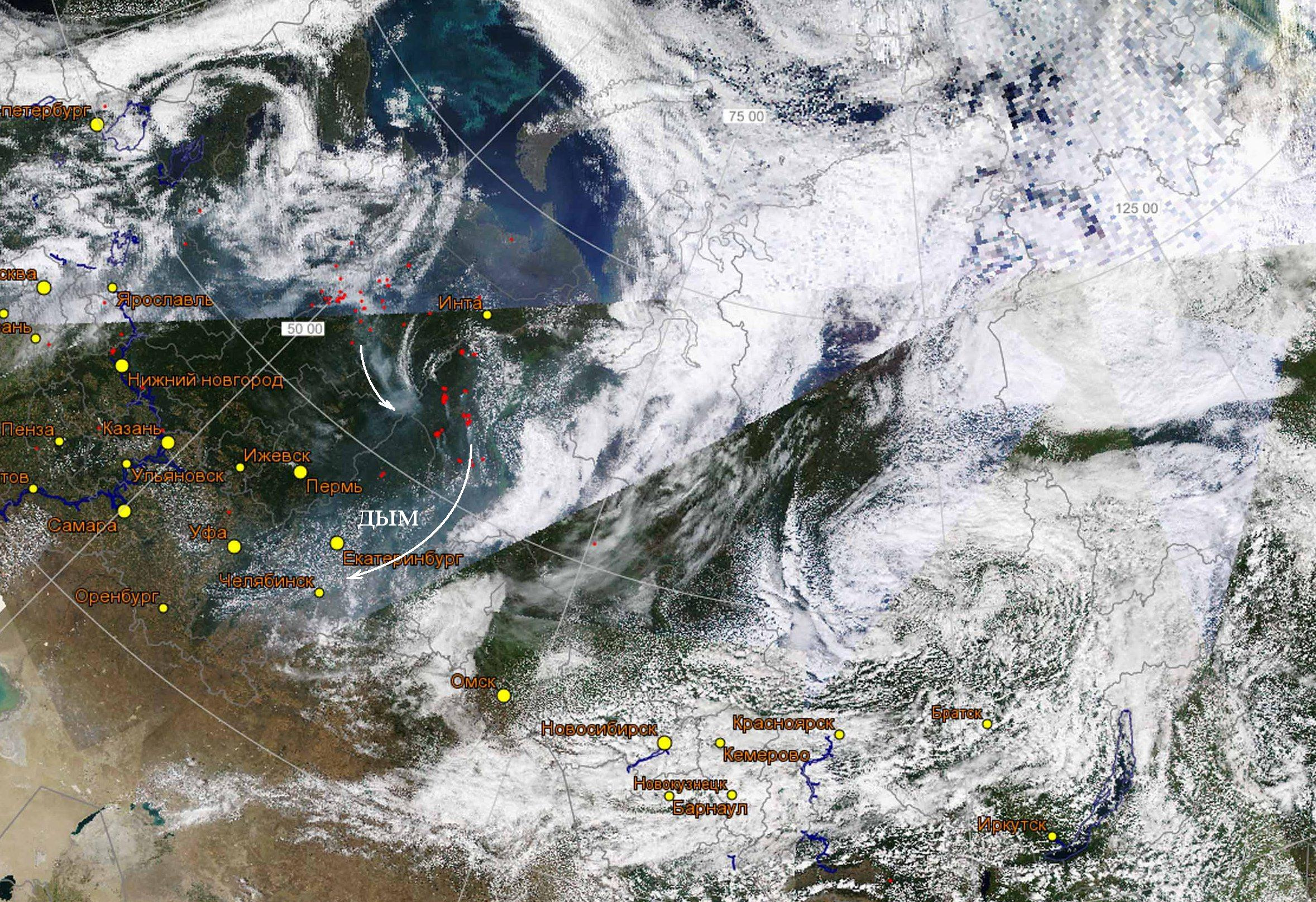 Космическая карта лесных пожаров fires ru